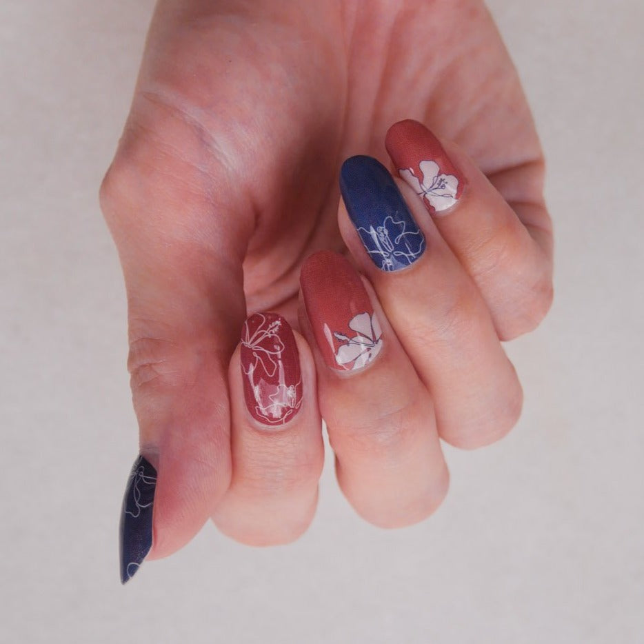 SC - Hibiscus Blooms