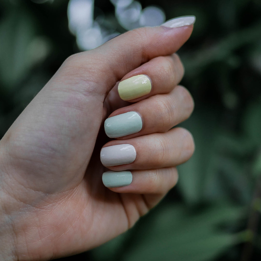 Sunshine Colour Chart