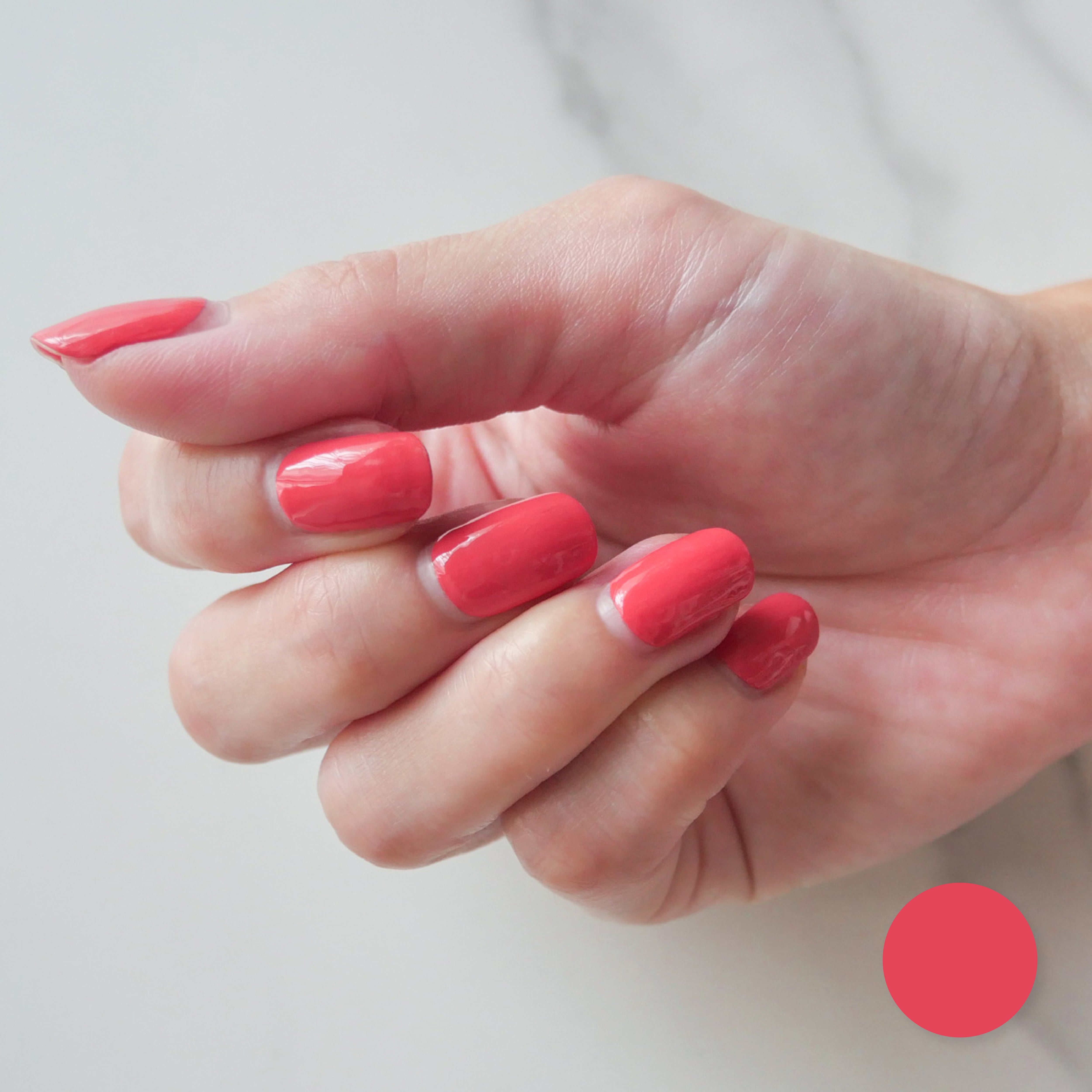 BLACK FRIDAY CYBER MONDAY