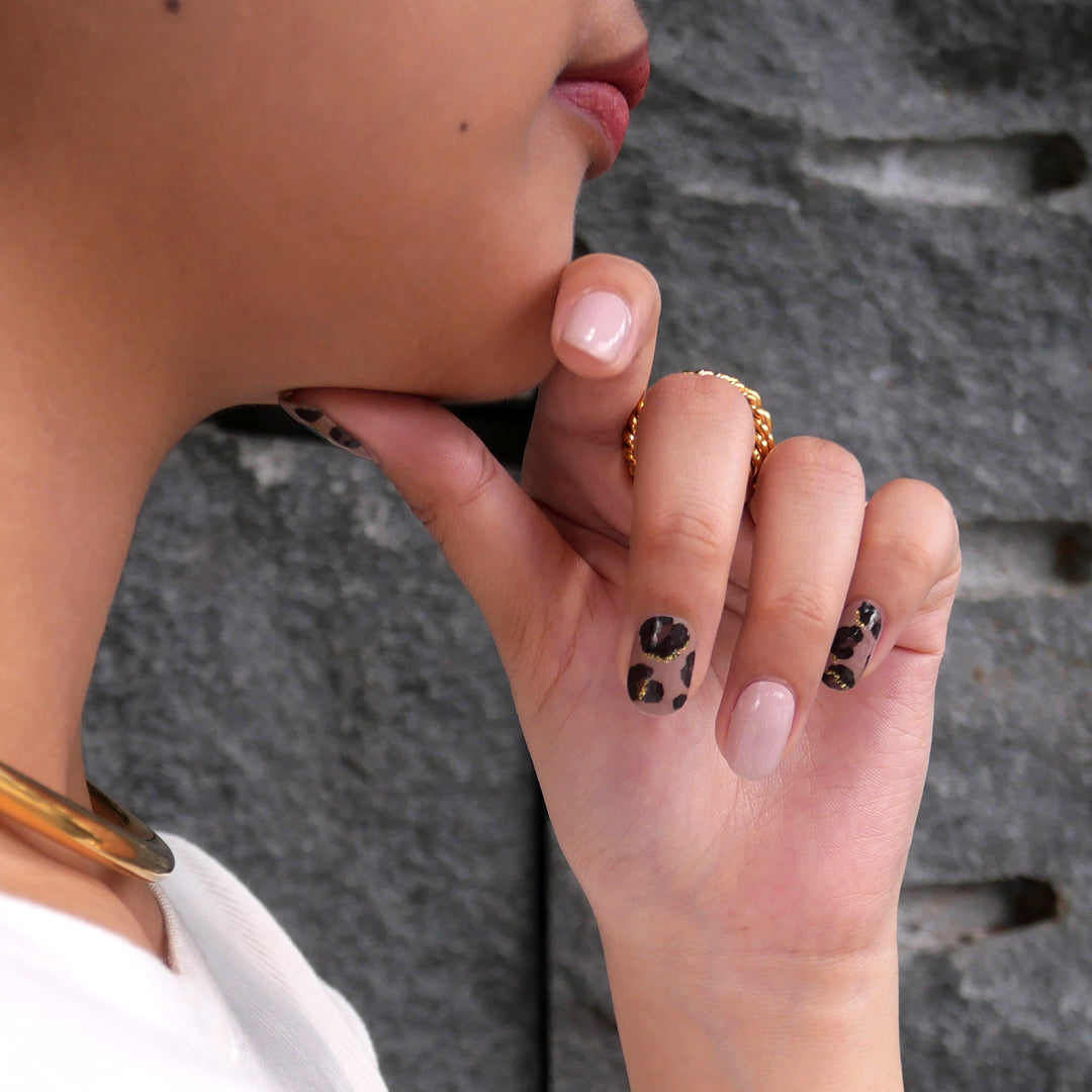 Savanna Sable (x Ashepa)