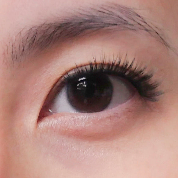 (Ala Carte) Party Raven Magnetic Lash Extensions